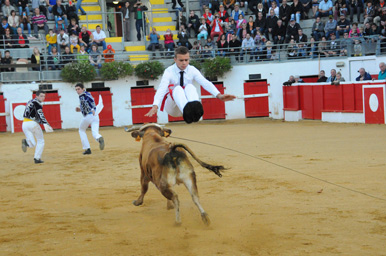 2017 © CLASSIC FESTIVAL - Photo : Bernard Cannone, M3 - Droits de cession et de reproduction réservés