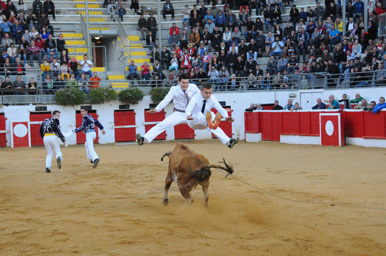 2017 © CLASSIC FESTIVAL - Photo : Bernard Cannone, M3 - Droits de cession et de reproduction réservés