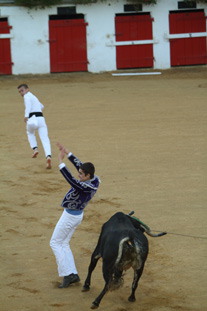 2017 © CLASSIC FESTIVAL - Photo : Bernard Cannone, M3 - Droits de cession et de reproduction réservés