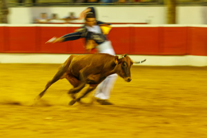 © CLASSIC FESTIVAL - Photo : M3 - Droits de cession et de reproduction réservés